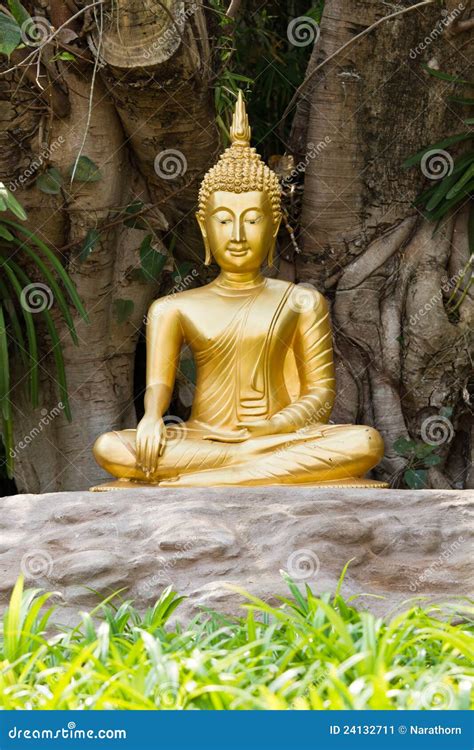 Meditation Buddha statue. stock image. Image of religious - 24132711