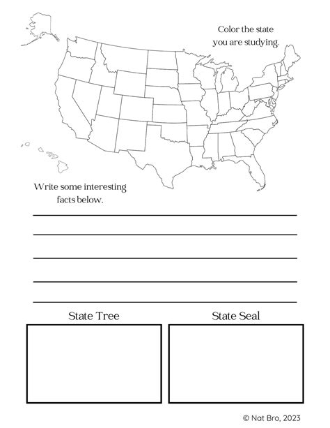 My 50 States Notebook - Nuggets of Wisdom