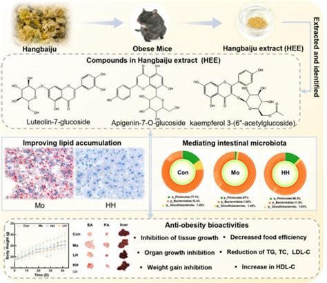 Polyphenol-Rich Extract of Chrysanthemum × morifolium (Ramat) Hemsl ...