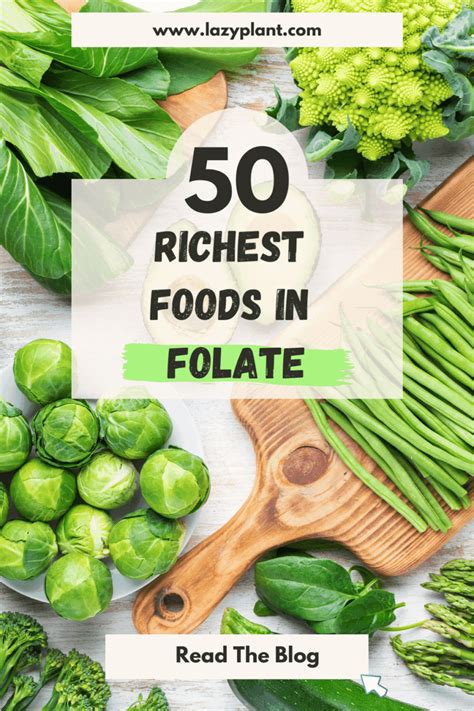 Image result for Folate Food Sources Chart