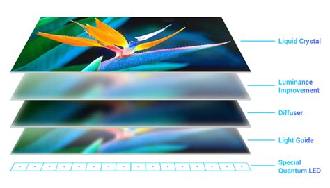 Quantum Dot Display 的图像结果
