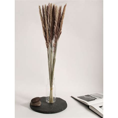 Buy Bonhomie Brown Pampas Grass Dried Natural Decorative Bouquet Pack ...