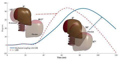 Numerical Simulation of Mechanical Coupling for Low-Back Booster with a ...