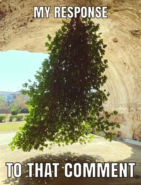 Image result for Perfectly Not Confusing Meme