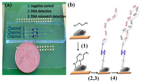 HCV Detection, Discrimination, and Genotyping Technologies