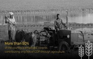 Rising Above Binary Choices In Indian Agriculture - BW Businessworld