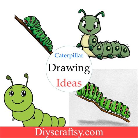 15 Caterpillar Drawing Ideas - How To Draw Caterpillar - DIYsCraftsy