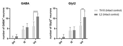 Impact of Endurance Training on Regeneration of Axons, Glial Cells, and ...