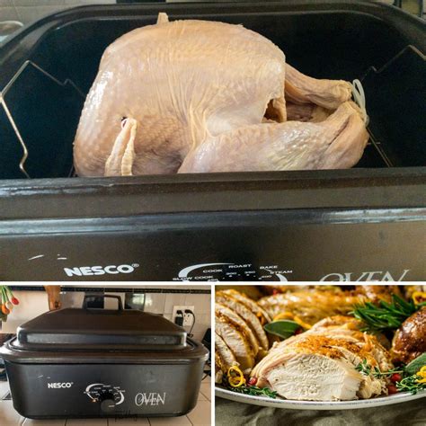 How to Cook a Turkey in a Roaster 的图像结果