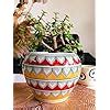 Niyara Big Ceramic Planter Indoor and Outdoor Flower Medium Plant Pot ...