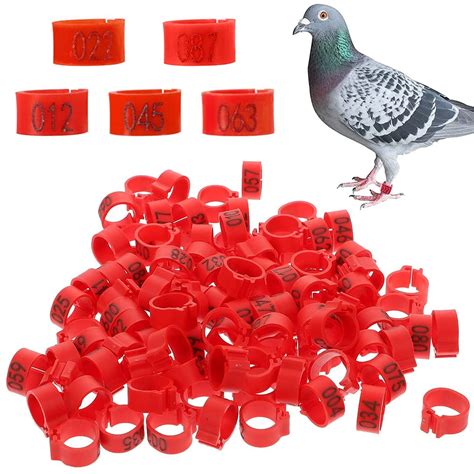 Qpets® 100 Pcs Bird Leg Rings- Numbered Bird Identification Leg Bands ...