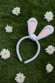 Image result for Springtime Bunny Ears Headband