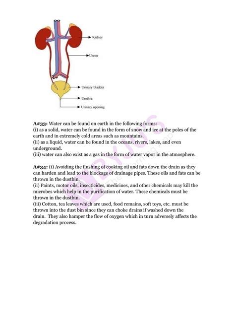 Image result for Class 7 Science First Chapter Test Paper