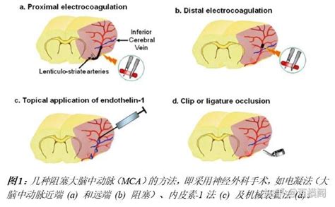 Image result for Alien Science Diagram