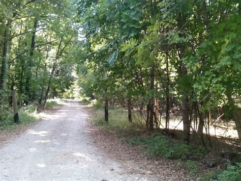 Pădurea şi lacul Snagov
