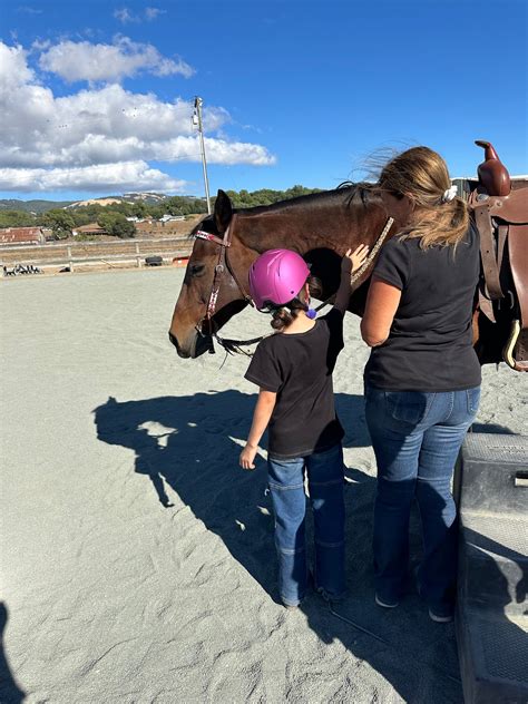Student’s Work – Pegasus Riding School