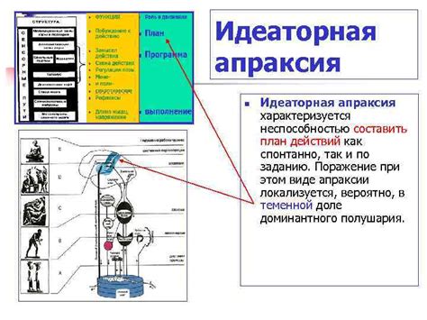 ДВИГАТЕЛЬНАЯ СФЕРА ПОНЯТИЕ О ДВИГАТЕЛЬНОМ АНАЛИЗАТОРЕ СИНДРОМЫ ПОРАЖЕНИЯ