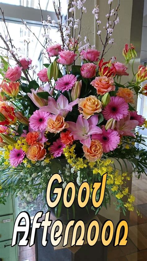 [100+] Good Afternoon Pictures | Wallpapers.com