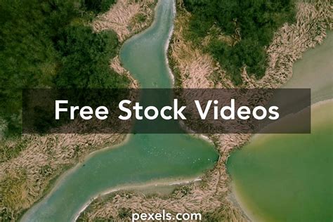 Image result for Environmental Clips