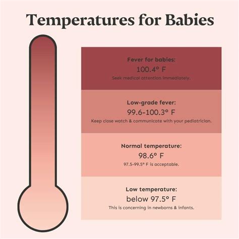 How To Do A Baby Temperature at Cynthia Bolden blog