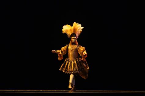 Who Wrote The Ballet That King Louis Acted In | Audiolover