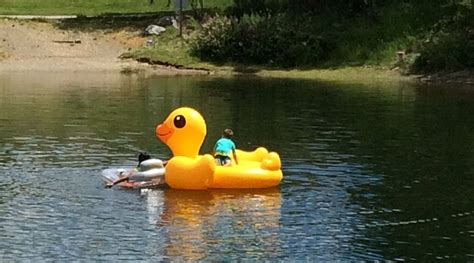 BRIDGEPORT MARINA RV PARK - Campground Reviews & Photos - Tripadvisor