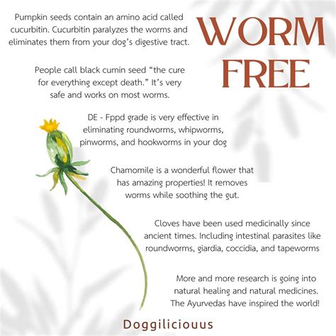 De Worming Dogs Naturally 的图像结果