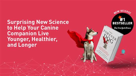 The Raw Entrepawneur S1-83 Dr Karen Becker The Forever Dog – The ...