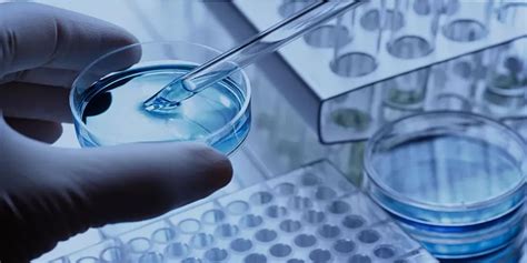 Image result for DNA vs RNA Extraction