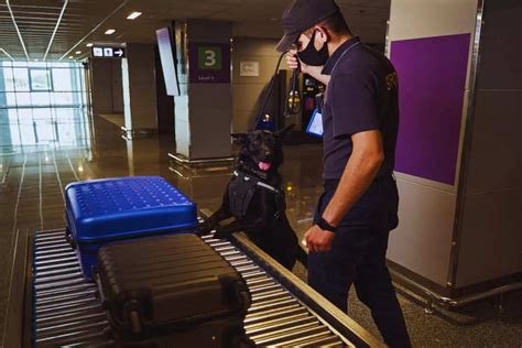 From ribbons and old stickers to marzipan – reasons why you might be ...