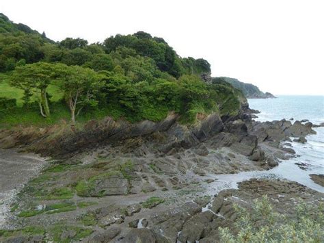 WATERMOUTH CASTLE - Lodging Reviews, Photos, Rate Comparison - Tripadvisor