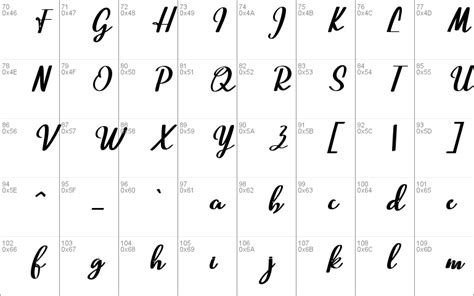 Image result for Beautiful Script Fonts