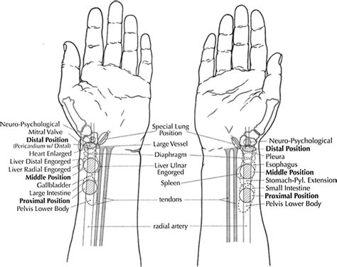 Image result for How to Read a Pulse Machine