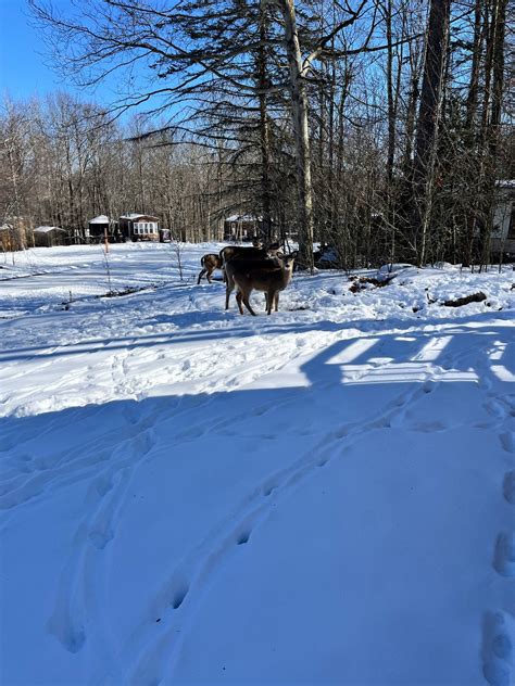 Eagle Lake Community | Eagle Lake Community Association Development ...