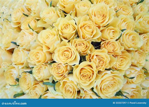 Pale Yellow Rose Bouquet