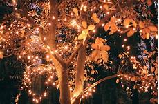 Pretty Fall Backgrounds With Lights by Autumn Leaves And Lights Pictures Photos And Images For Pretty Fall Backgrounds With Lights
