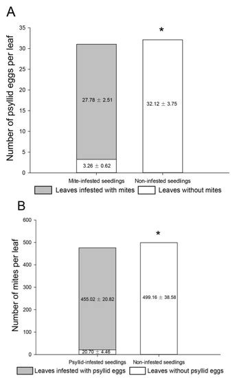 Positive Interactions between Aceria pallida and Bactericera gobica on ...