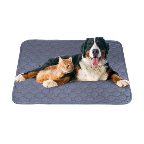 Amazon.in Bestsellers: The most popular items in Reusable Dog Training Pads