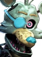 Image result for What Is Spring Foxy Main Colors