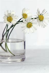 Image result for Still Life of Flowers in a Glass Vase