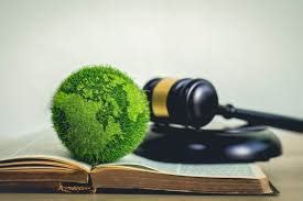 ESG Litigation in India: When Promoter Commitments Become Courtroom ...