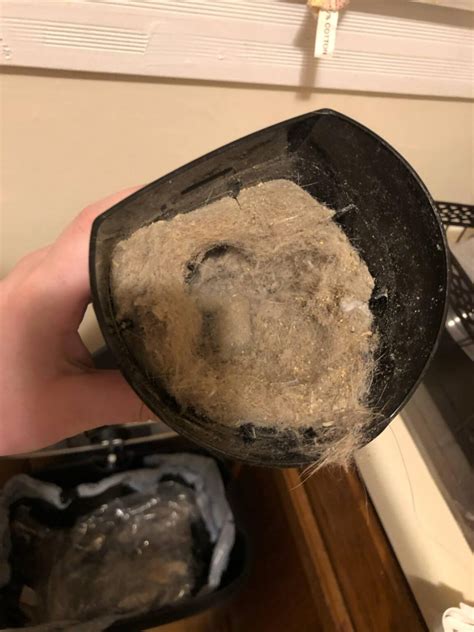 10 Best Vacuums For LVP 2026: Review for Luxury Vinyl Floors