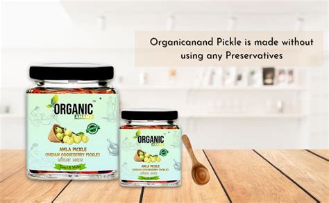 Organic Anand | 100% Pure & Natural Amla Achar Best With Best ...