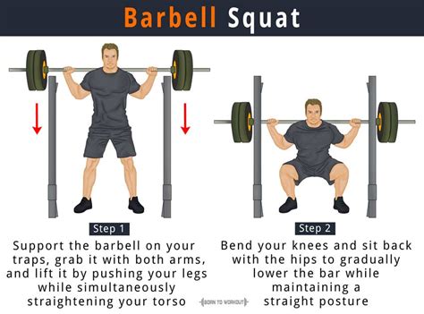 Barbell Squat: How to do, Proper Form, Variations, Benefits | Born to ...