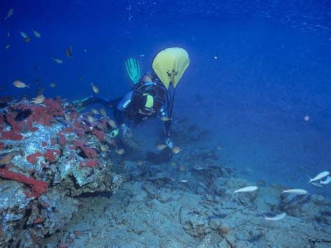 Diving in Fuerteventura - Hellotickets