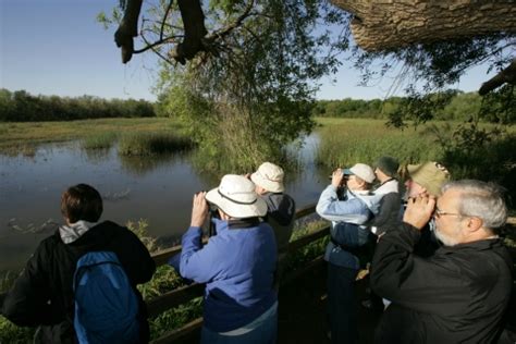 World Migratory Bird Day 2025 | U.S. Fish & Wildlife Service
