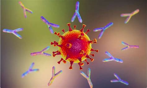 Scent-trained dogs may help screen COVID-19 rapidly in noninvasive manner