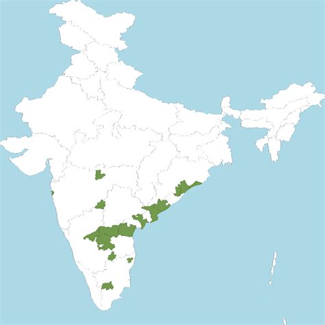 India Flora Online