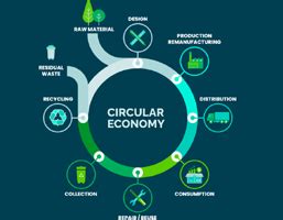 BIS technical support company in India/Delhi, Crs technical support ...