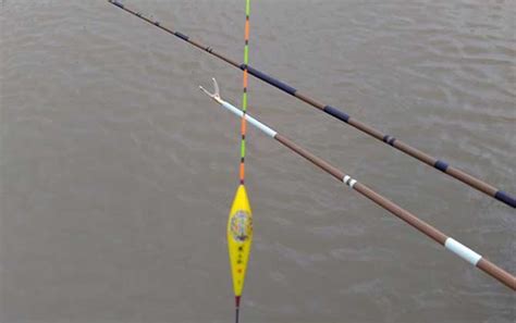台钓调漂的技巧和方法 - 钓鱼技巧 - 酷钓鱼